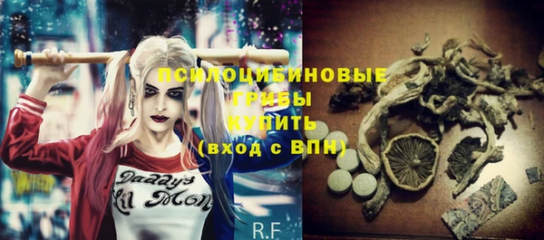 стафф Армянск