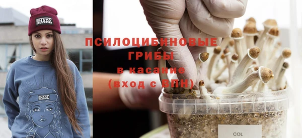 гидропоника Аркадак