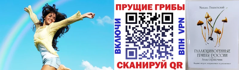 Псилоцибиновые грибы GOLDEN TEACHER  Бирск 